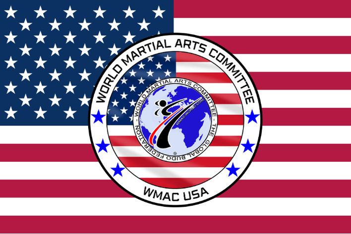 WMAC Flaggen 90x150  Deutschland  USA Czechia Austria Ukraine Polen